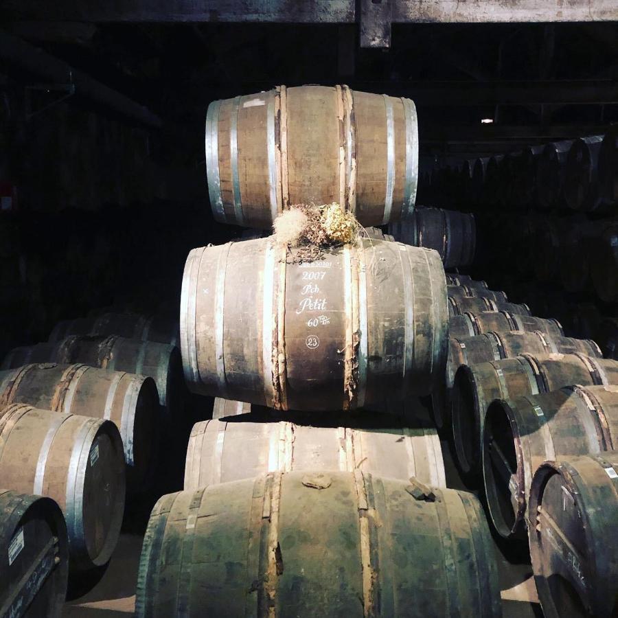 Suite En Terrasse A Cognac Dış mekan fotoğraf
